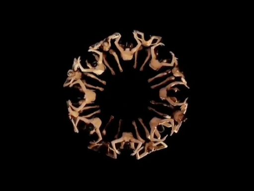 Silhouettes d'animaux formant un cercle sur fond noir.