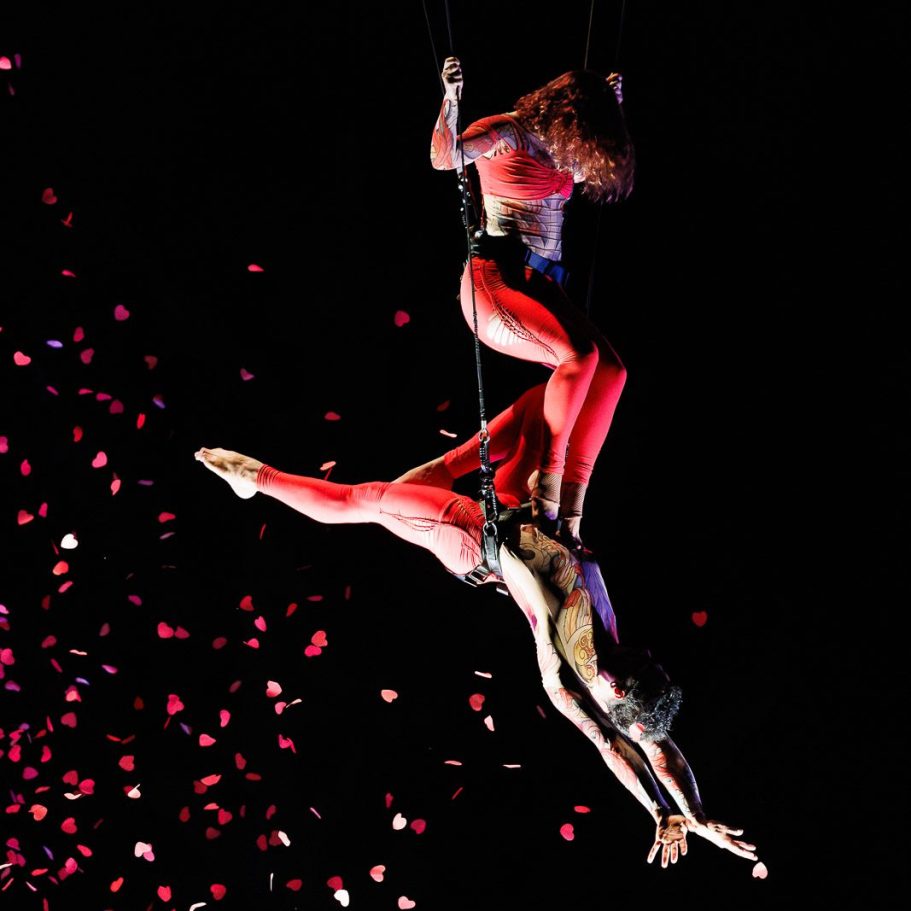 Deux acrobates exécutent une performance aérienne avec des pétales tombant autour d'eux.