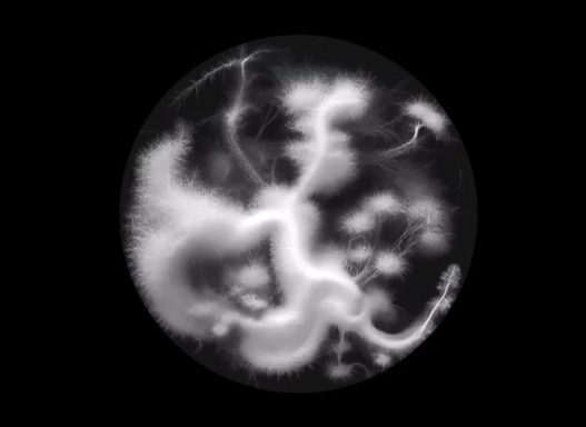 Abstrait circulaire en noir et blanc, avec des formes tourbillonnantes et fluides.