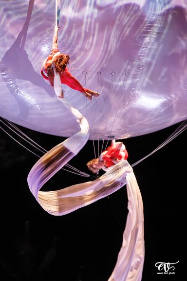 Artistes de cirque en performance aérienne, suspendus par des tissus, en mouvements gracieux.