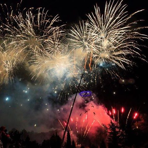 Feux d'artifice colorés éclatant dans le ciel nocturne, illuminant les arbres.